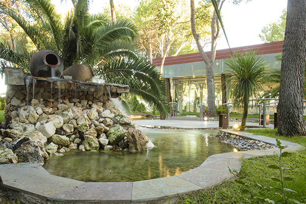 palmeras fincas bodas madrid